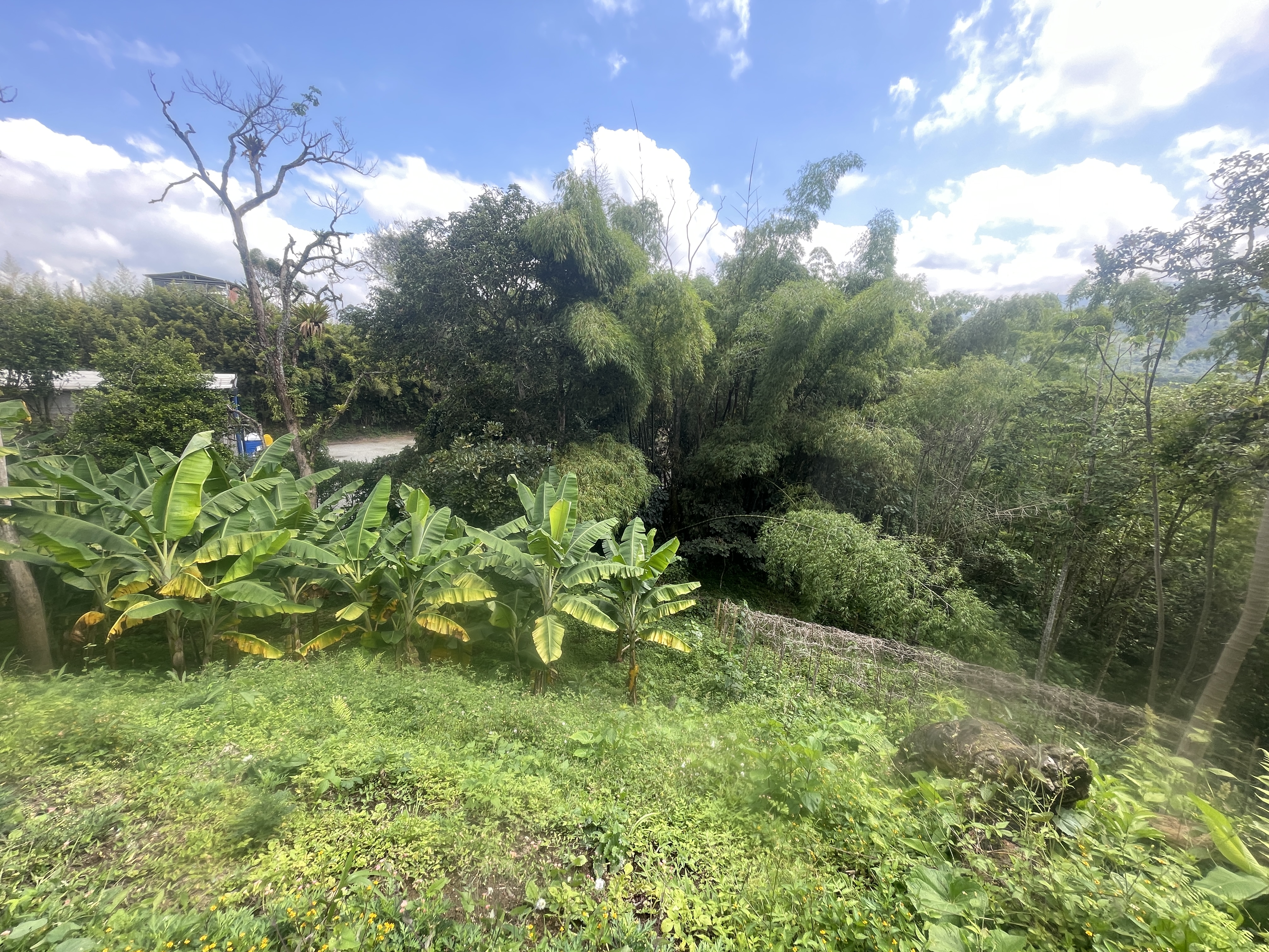 Foto de Lote / terreno en Venta en Av bolivar, Armenia  - 5 - 279065795