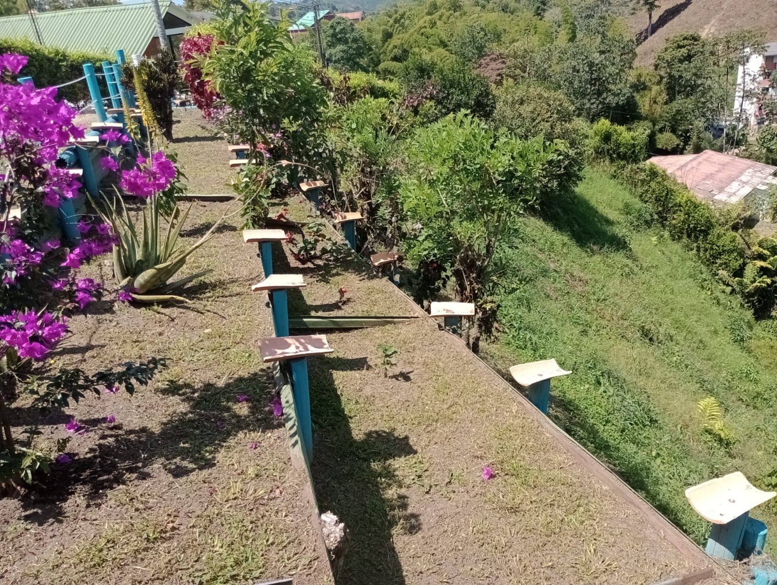 Foto de Casa campestre en Venta en Vereda santagueda, Palestina - 5 - 279062848