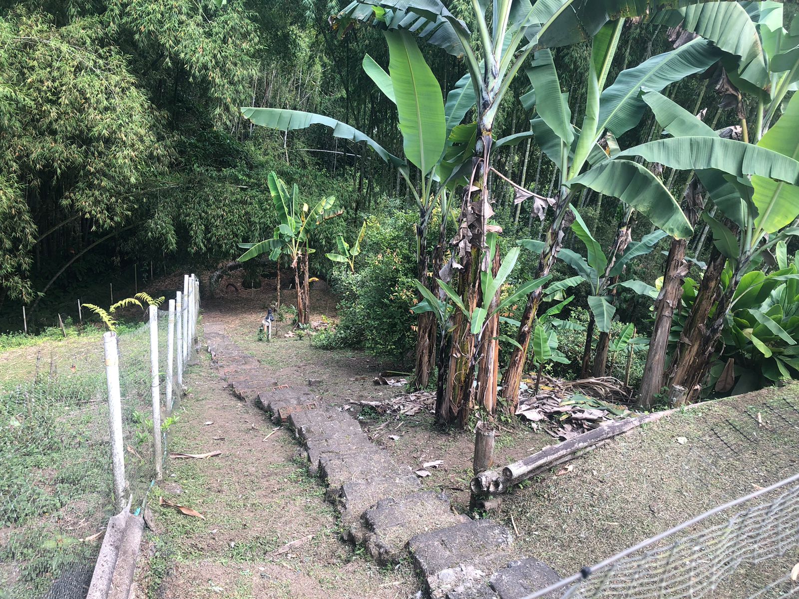 Foto de Casa campestre en Venta en Via armenia, Pereira - 44 - 279052249