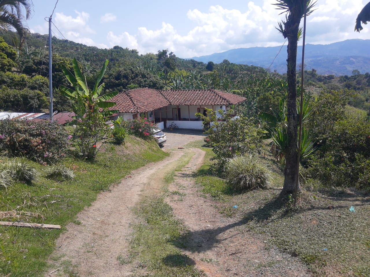 Foto de Finca en Venta en Barrio villa hermosa 2 y robelio suarez, Belen de umbria - 15 - 279056358