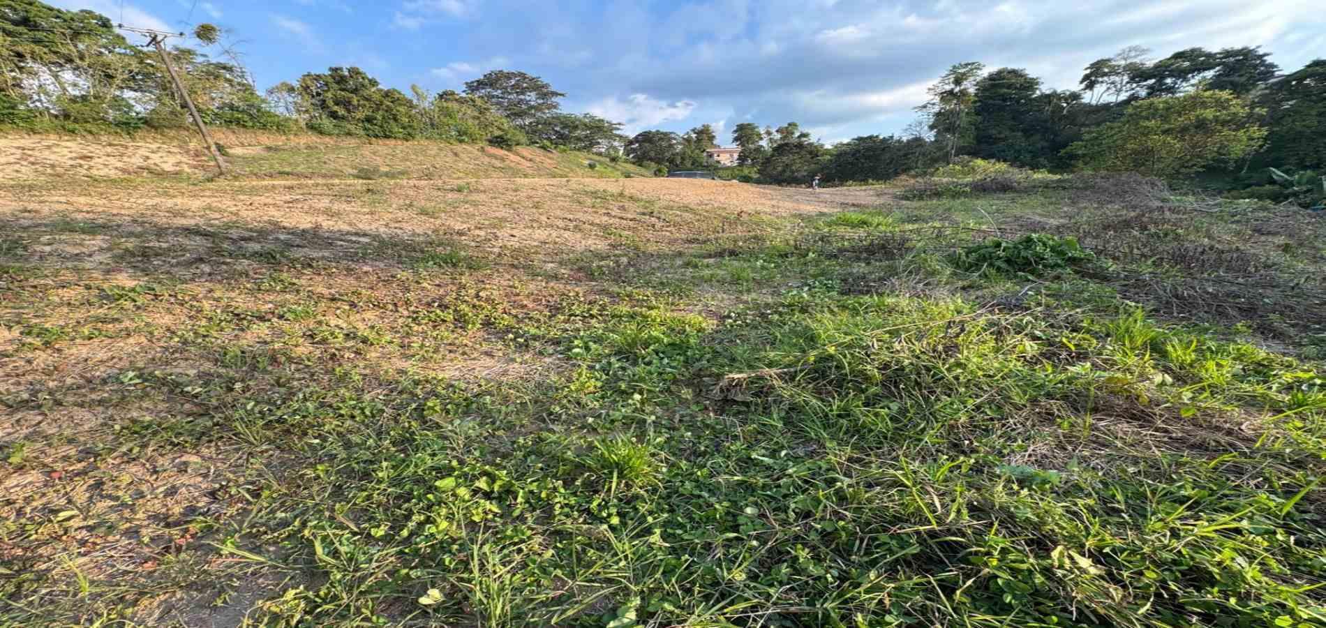 Foto de Lote / terreno en Venta en Via armenia, Pereira - 2 - 279060751