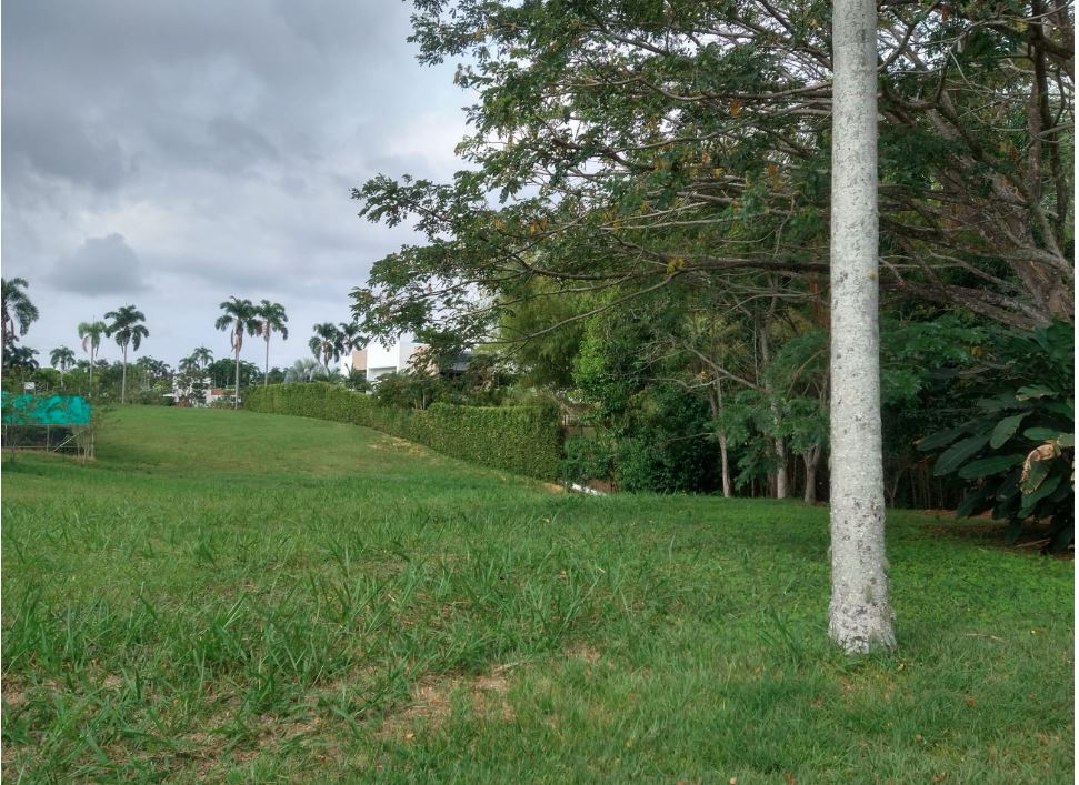 Foto de Lote / terreno en Venta en Cerritos, Pereira - 7 - 279056332