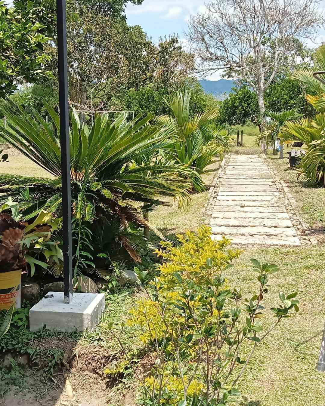 Foto de Finca para Venta en Vereda la julia, Alamos de poporo 103 t 8 - 279062428