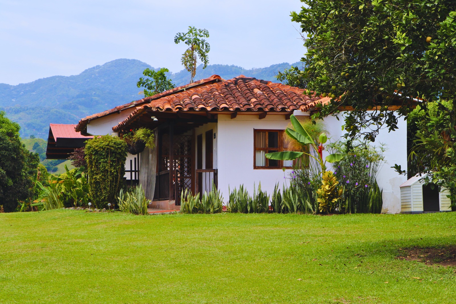 Foto de Finca para Venta en Combia, Pereira - 279064832