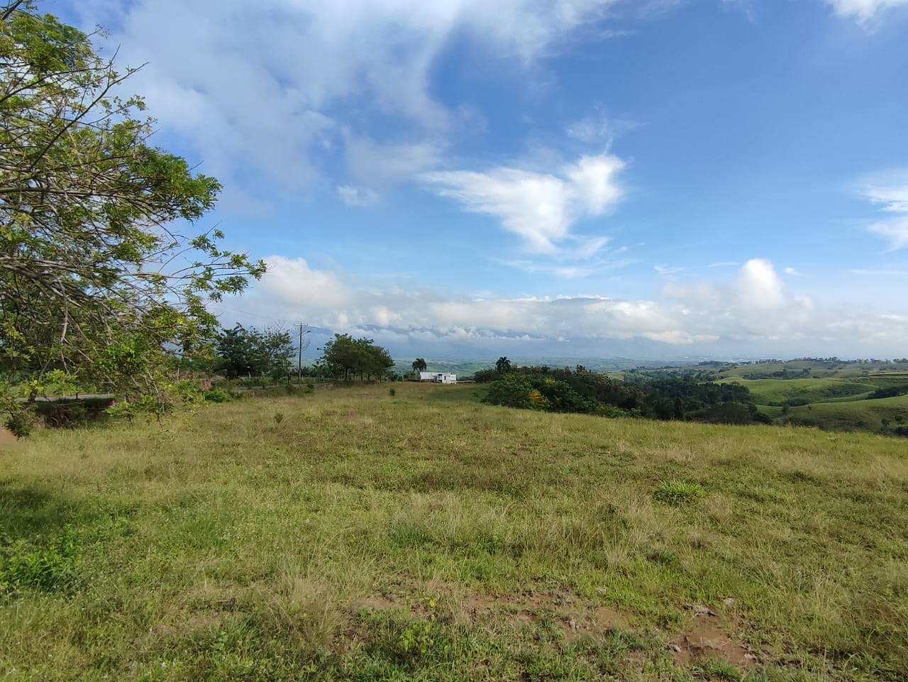 Foto de Lote / terreno en Venta en Cerritos, Pereira - 10 - 279063214