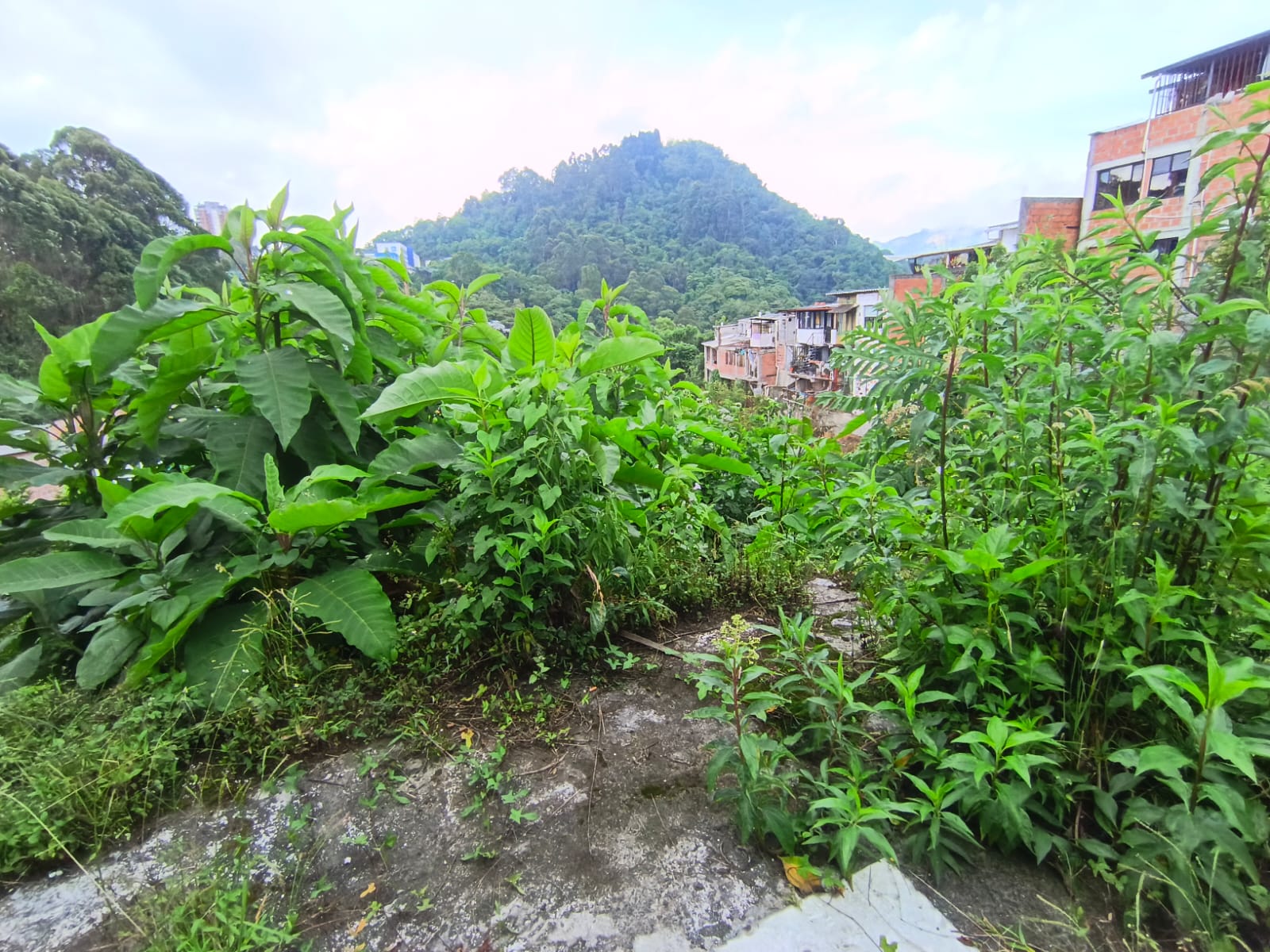 Foto de Lote / terreno en Venta en Fátima, Manizales - 7 - 279068979