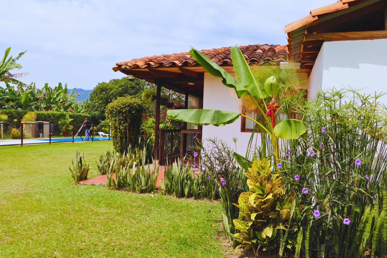 Foto de Finca en Venta en Combia, Pereira - 25 - 279064832
