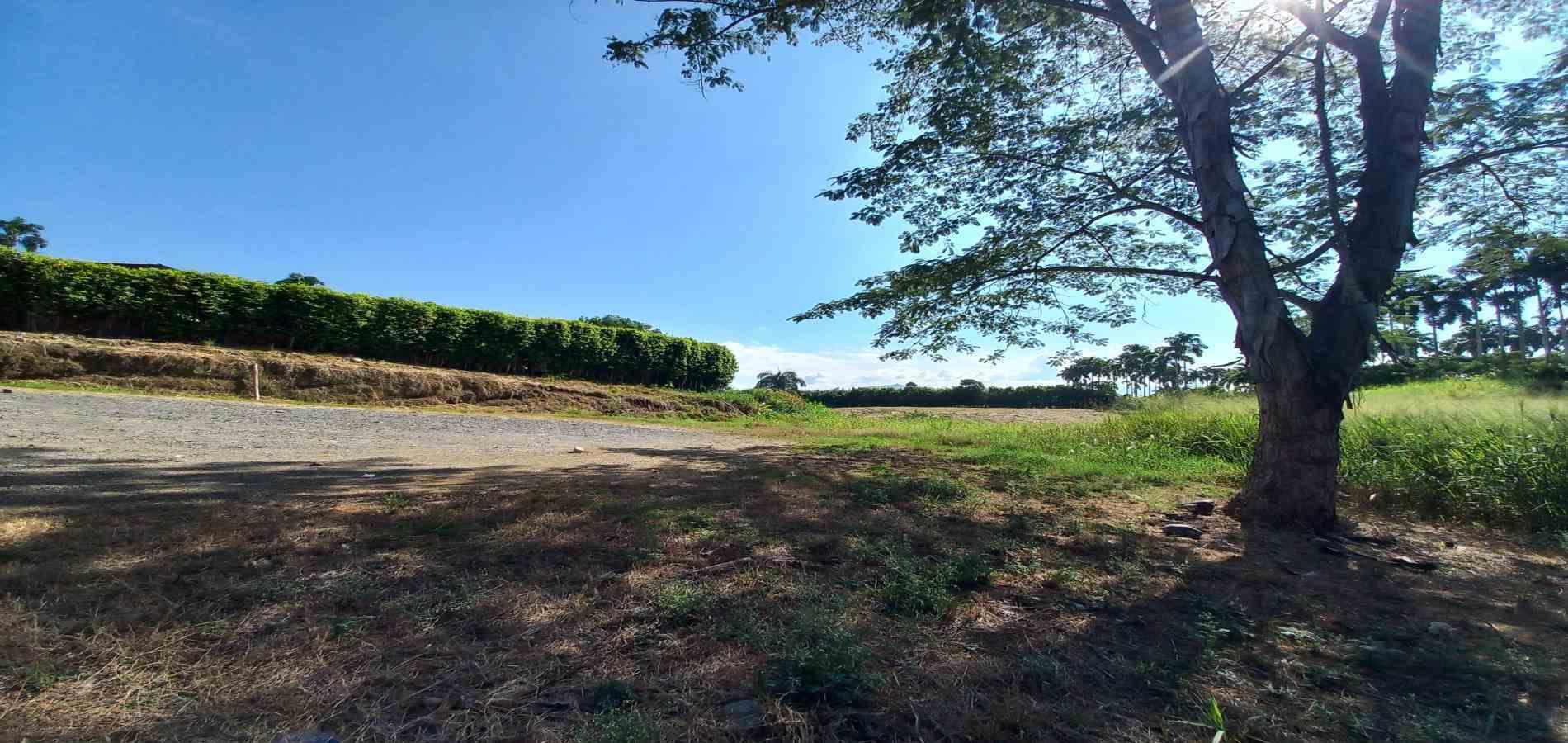 Foto de Lote / terreno en Venta en Cerritos, Pereira - 18 - 279069860