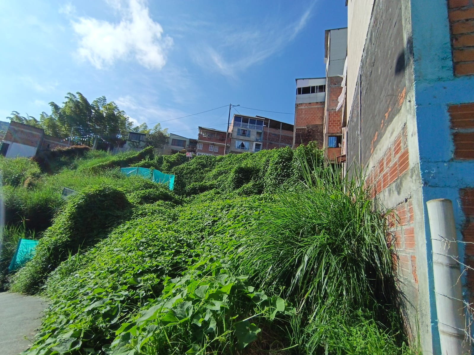 Foto de Lote / terreno en Venta en Bellavista, Villamaria - 6 - 279067096