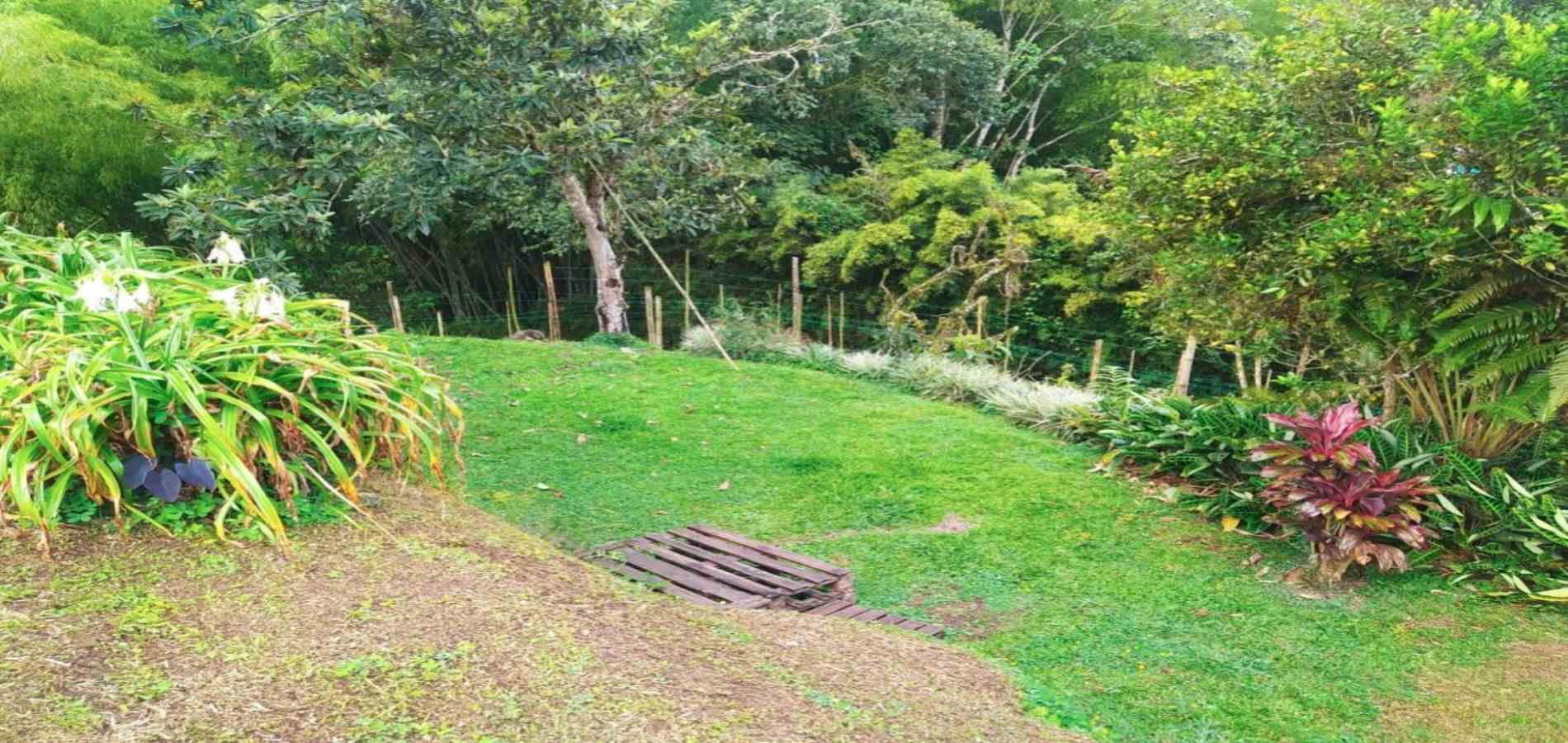 Foto de Finca en Venta en Tribunas consota, Pereira - 26 - 279053616