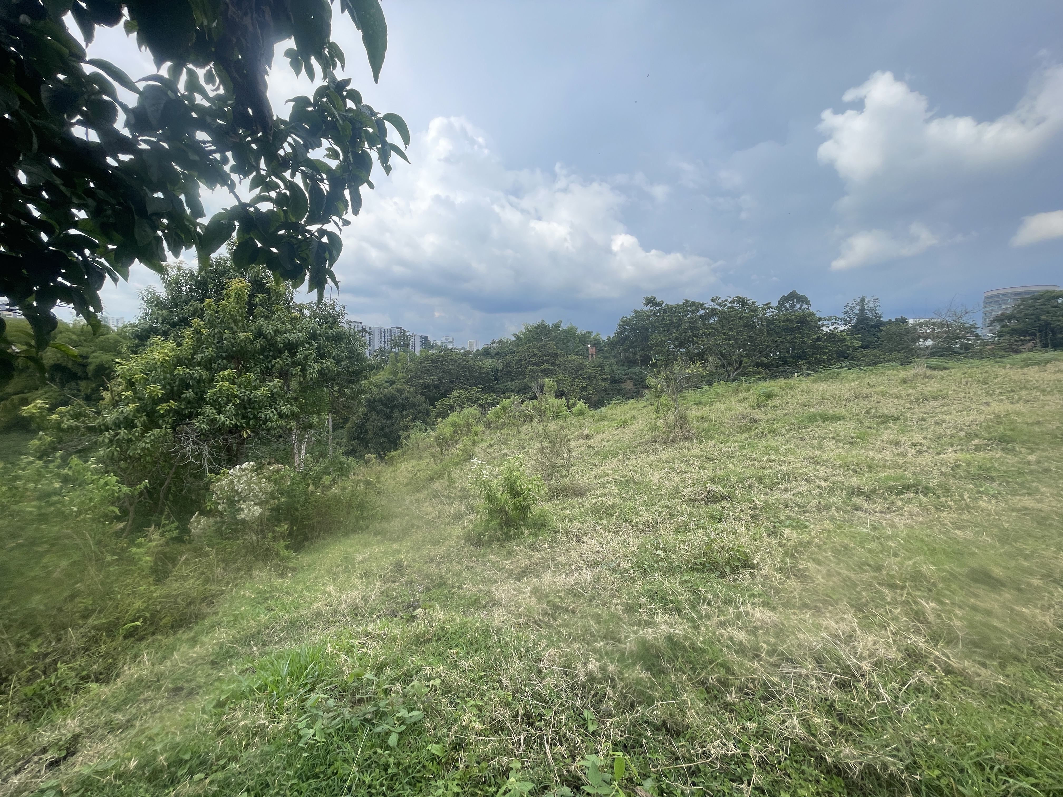 Foto de Lote / terreno en Venta en Avenida centenario, Armenia  - 11 - 279065799