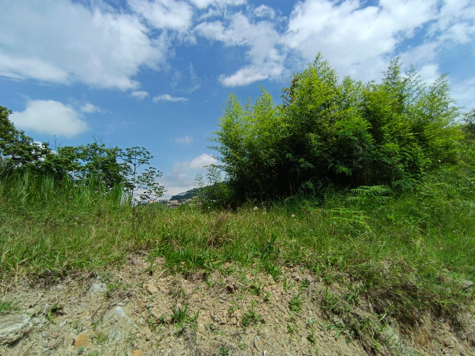 Foto de Lote / terreno en Venta en Panamericana, Manizales - 15 - 279063718