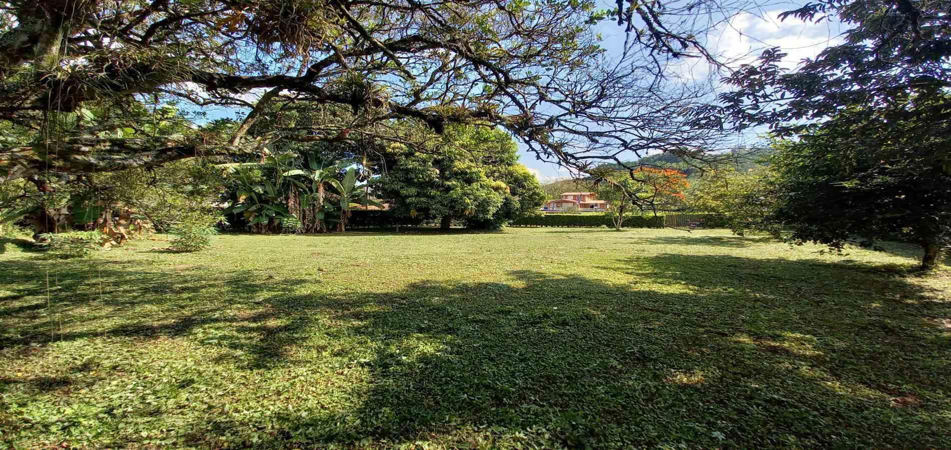 Foto de Lote / terreno en Venta en Vereda santagueda, Palestina - 39 - 279060420