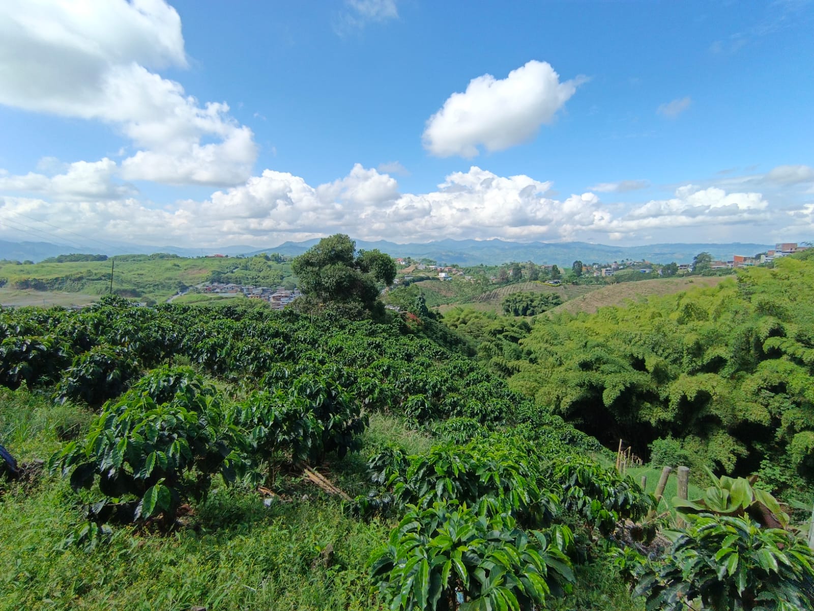 Foto de Lote / terreno en Venta en Las pavas, Manizales - 12 - 279067665