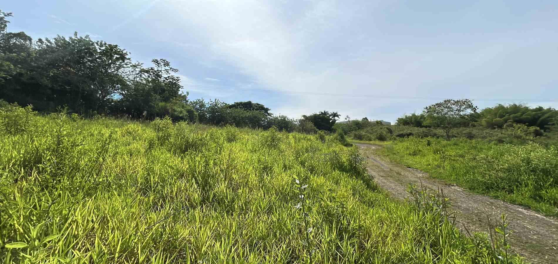 Foto de Lote / terreno en Venta en Cerritos, Pereira - 15 - 279068089