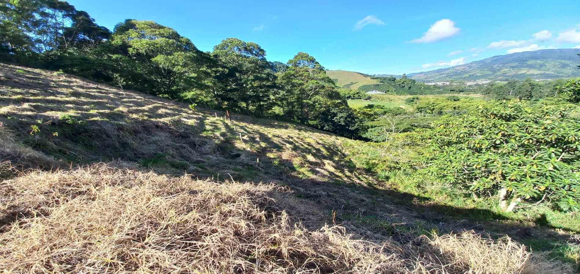 Foto de Lote / terreno en Venta en Vereda guacas, Santa rosa de cabal - 8 - 279067575
