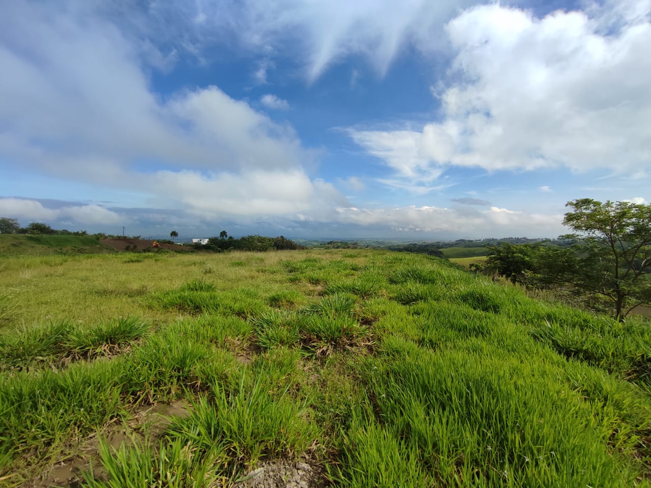 Foto de Lote / terreno en Venta en Cerritos, Pereira - 1 - 279063190