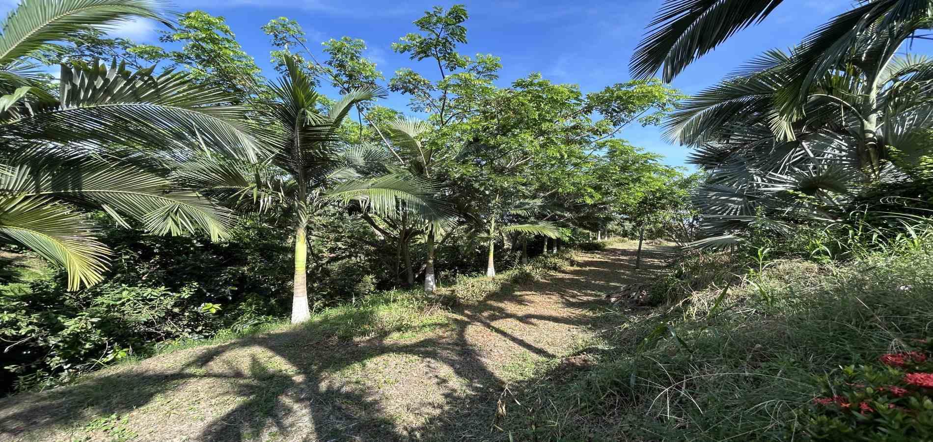 Foto de Lote / terreno en Venta en Cerritos, Pereira - 17 - 279068246