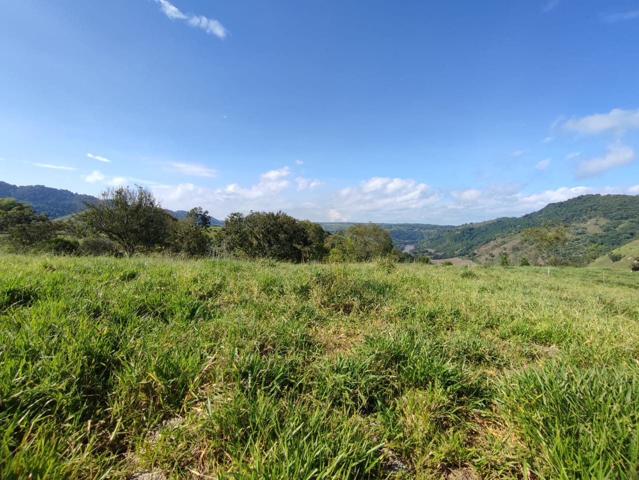 Foto de Lote / terreno en Venta en Cerritos, Pereira - 24 - 279064552