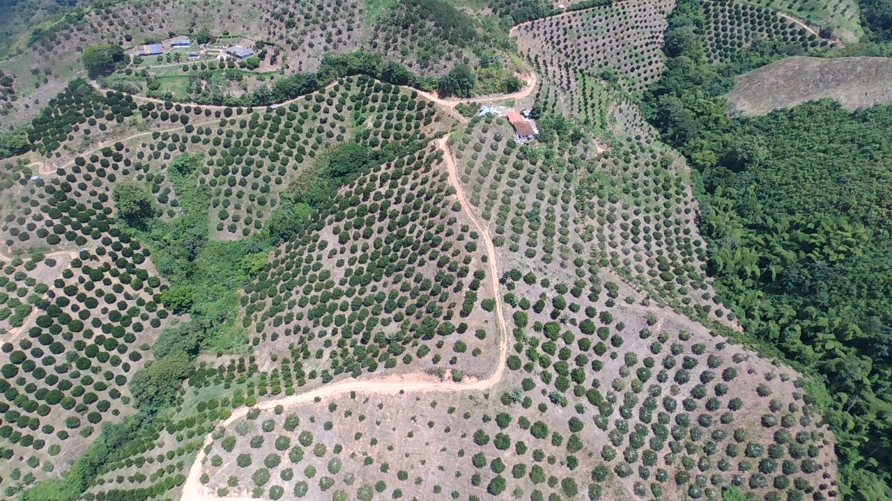 Foto de Finca en Venta en Vereda tambores - balboa, Pereira - 1 - 279070307