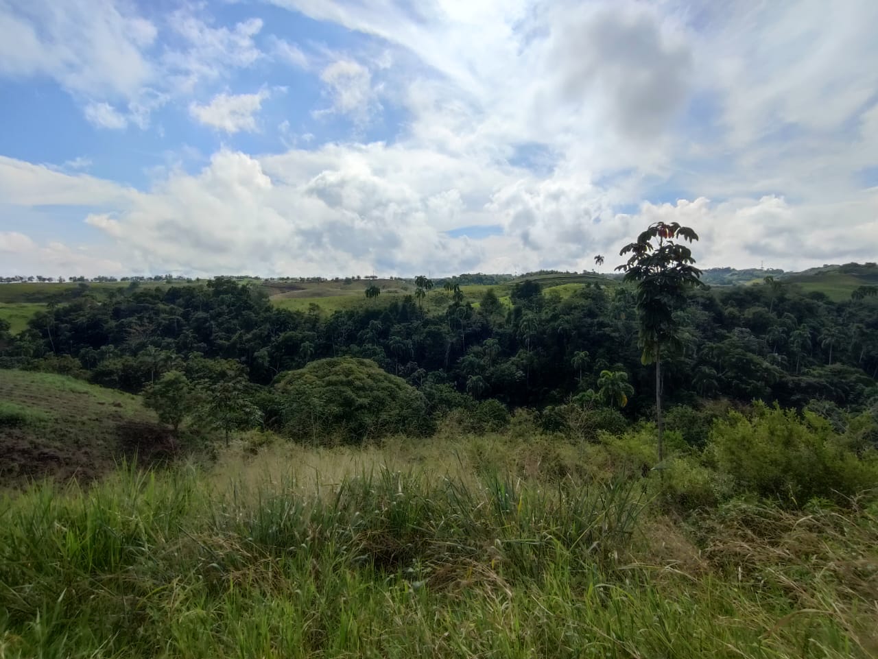 Foto de Lote / terreno en Venta en Cerritos, Pereira - 10 - 279063217