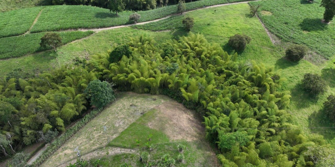 Foto de Lote / terreno en Venta en Centro, Quimbaya - 5 - 279068851