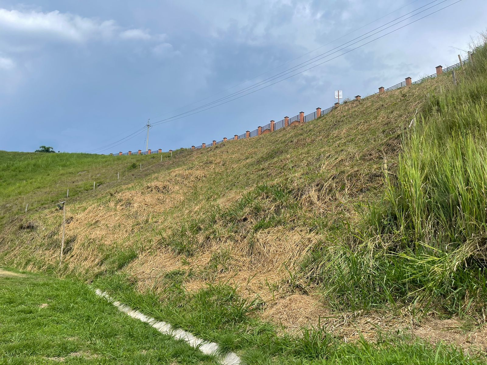 Foto de Lote / terreno en Venta en Cerritos, Pereira - 8 - 279058389