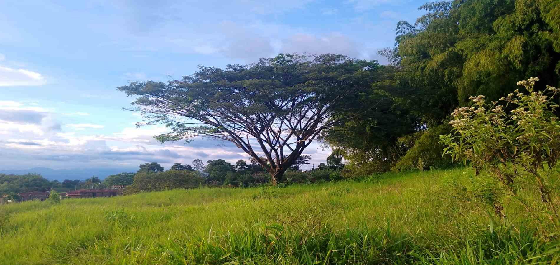 Foto de Lote / terreno en Venta en Armenia, Armenia  - 12 - 279067125