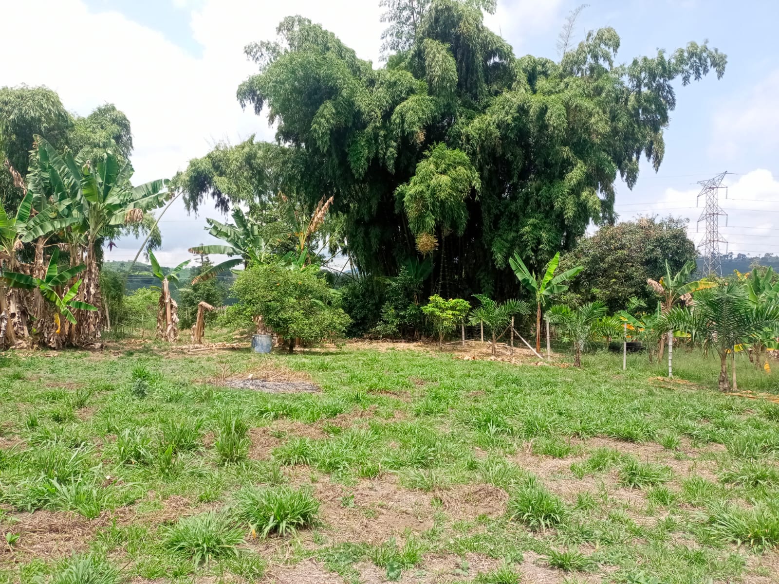 Foto de Lote / terreno para Venta en Santa rosa de cabal, Santa rosa de cabal - 279059203