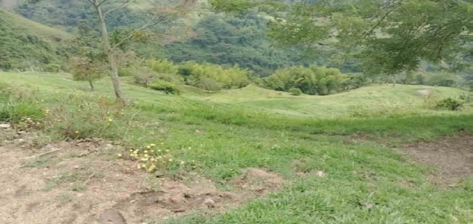 Foto de Lote / terreno en Venta en Vereda armenia , Neira - 2 - 279026013