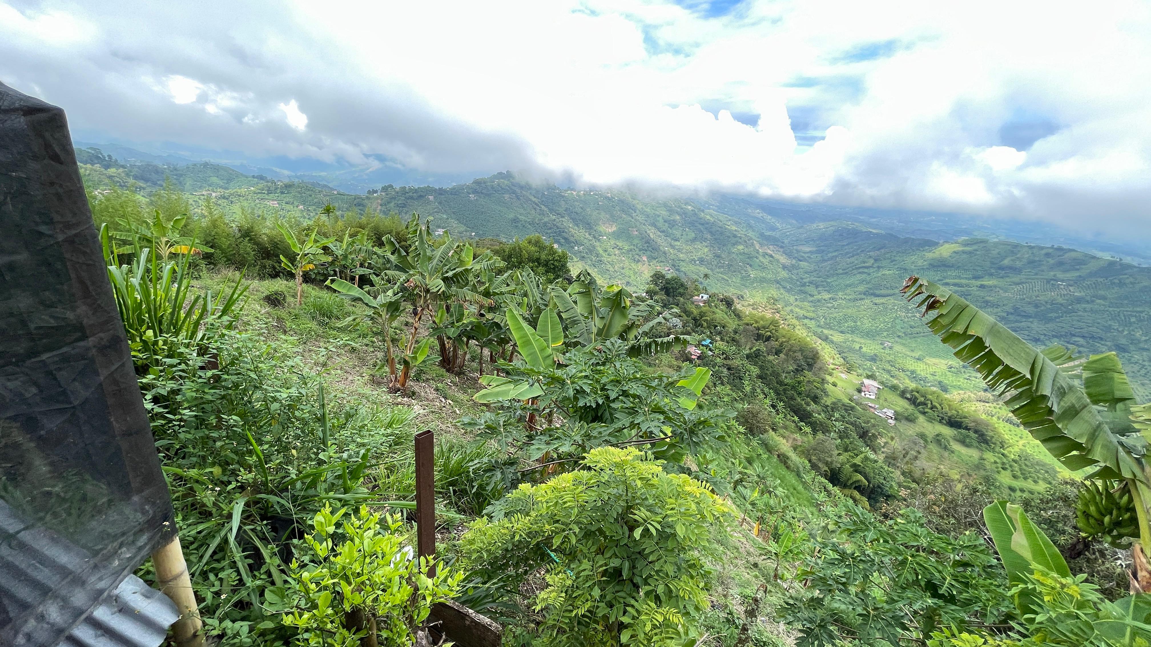 Foto de Finca en Venta en La cabaña, Manizales - 6 - 279062726