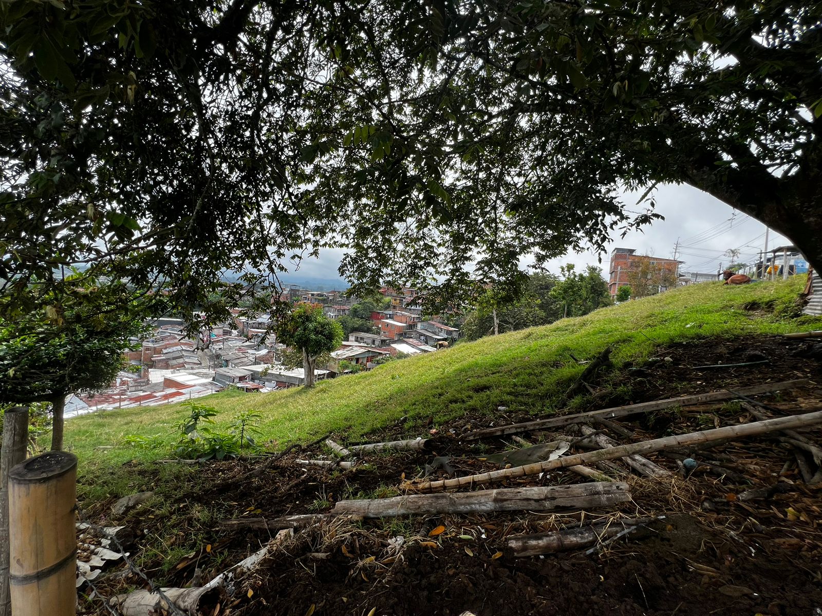 Foto de Lote / terreno en Venta en Altagracia, Pereira - 8 - 279056515