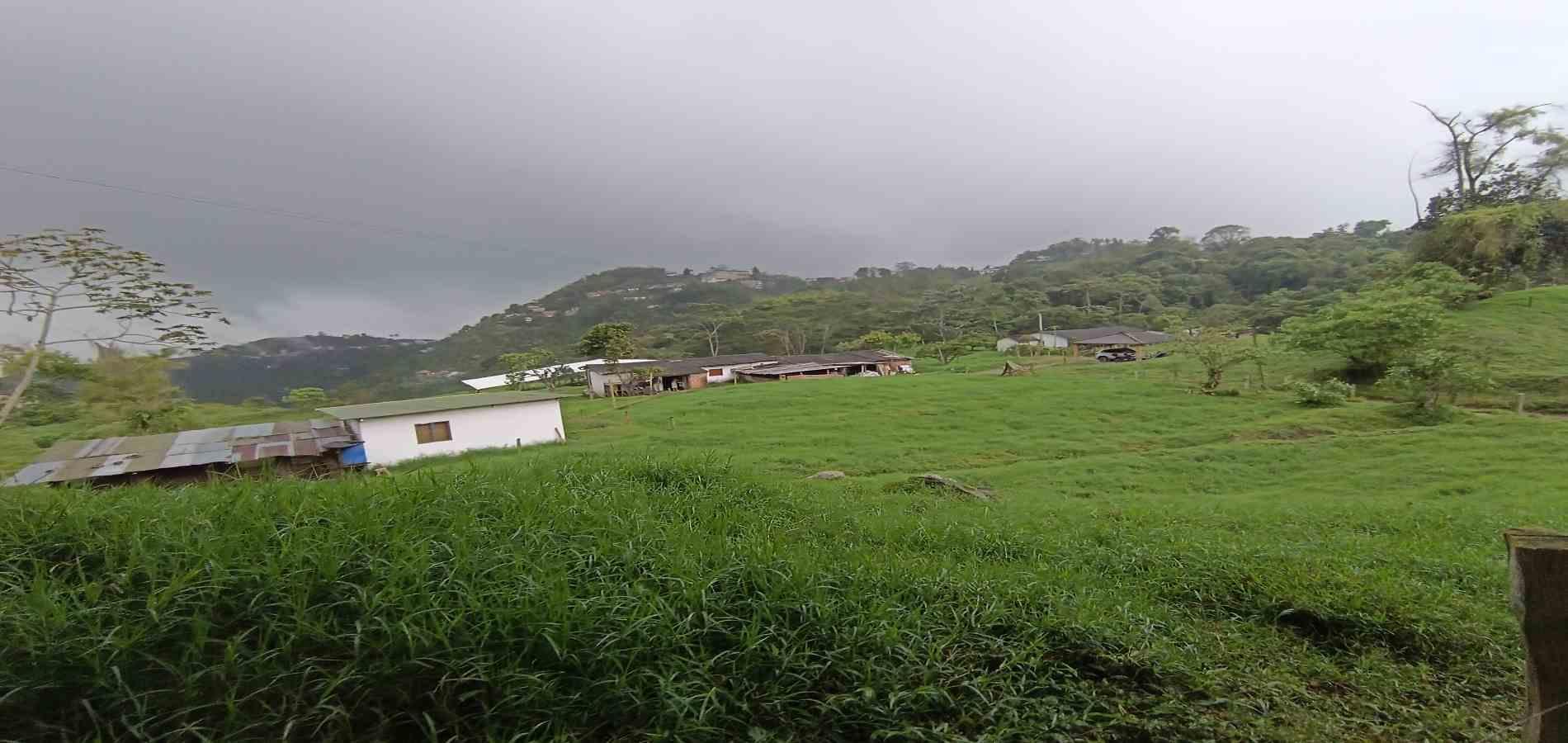 Foto de Finca en Venta en La francia, Manizales - 8 - 279066742
