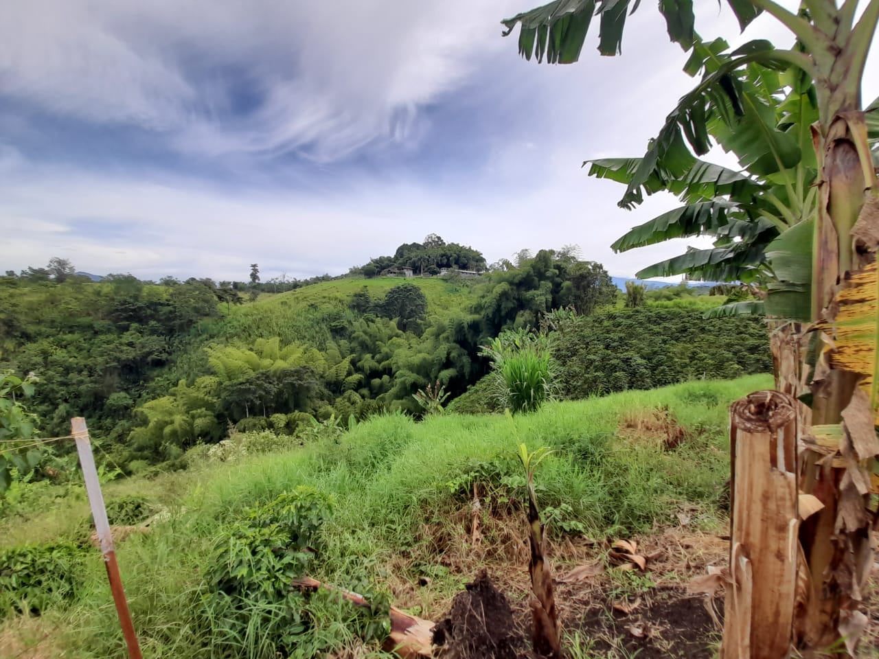 Foto de Lote / terreno en Venta en Arabia, Pereira - 16 - 279059189