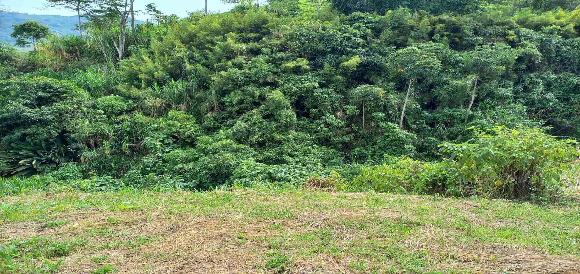 Foto de Lote / terreno en Venta en Combia, Pereira - 14 - 279069589