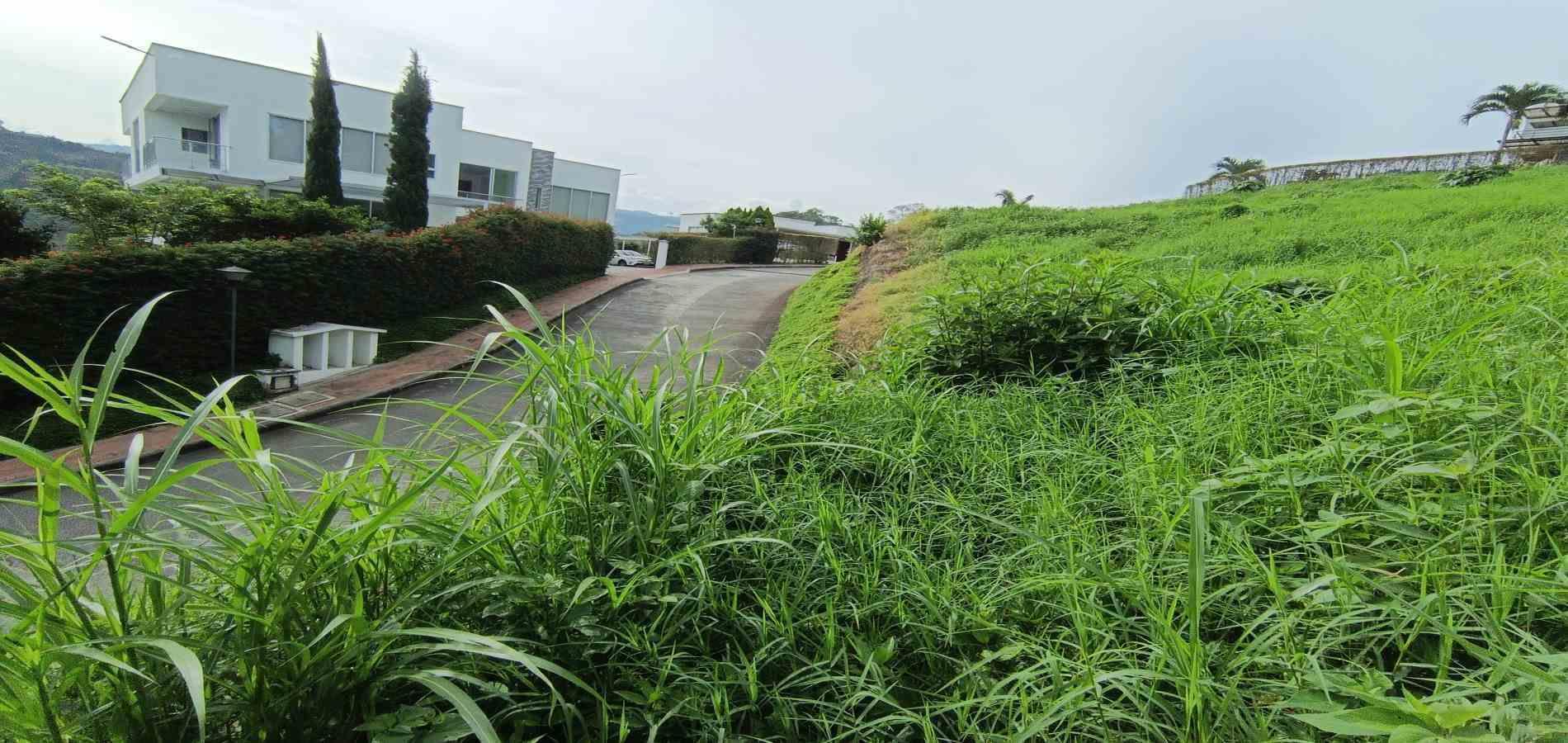 Foto de Lote / terreno en Venta en San bernardo del viento , Manizales - 16 - 279068029
