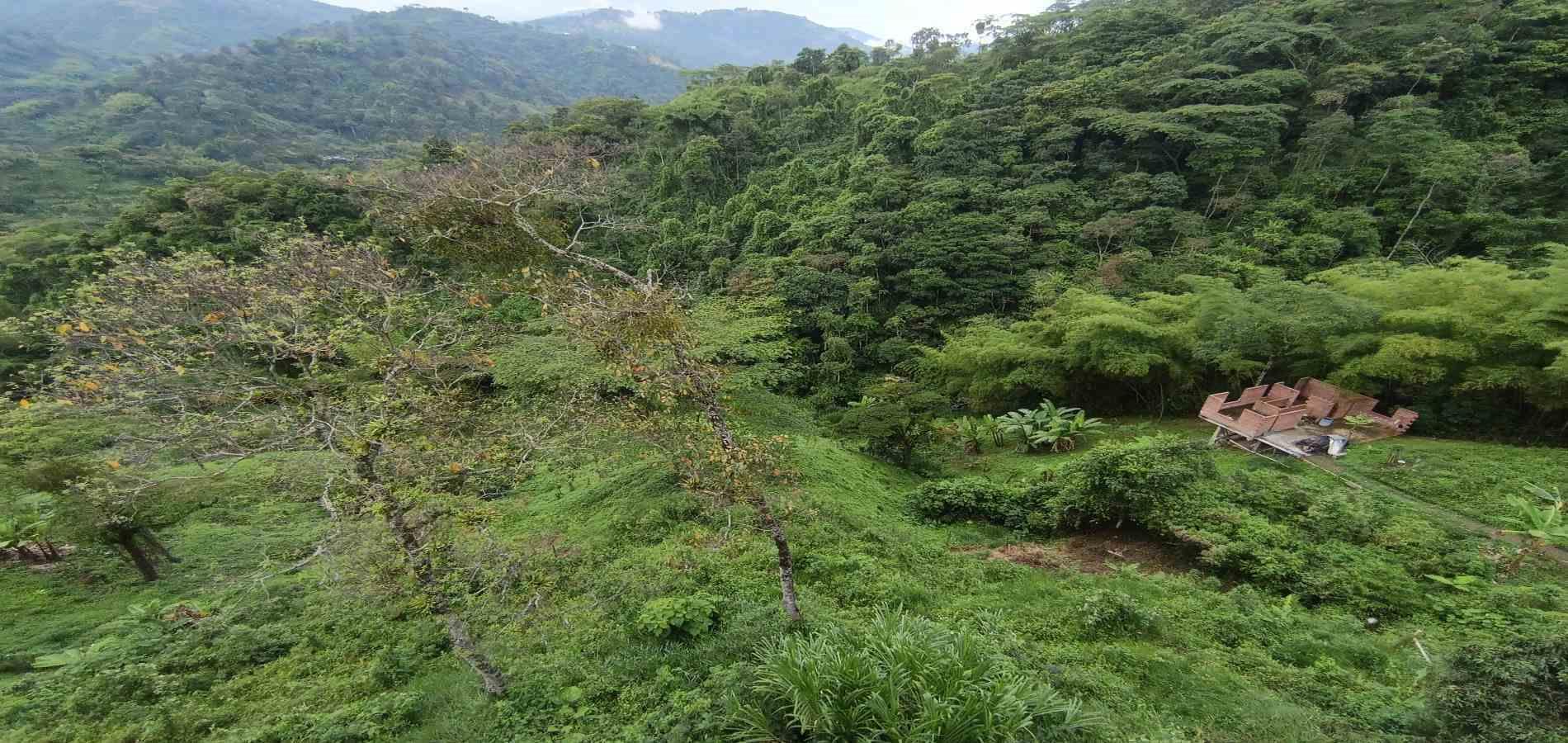 Foto de Lote / terreno en Venta en Vereda minitas , Manizales - 19 - 279068548