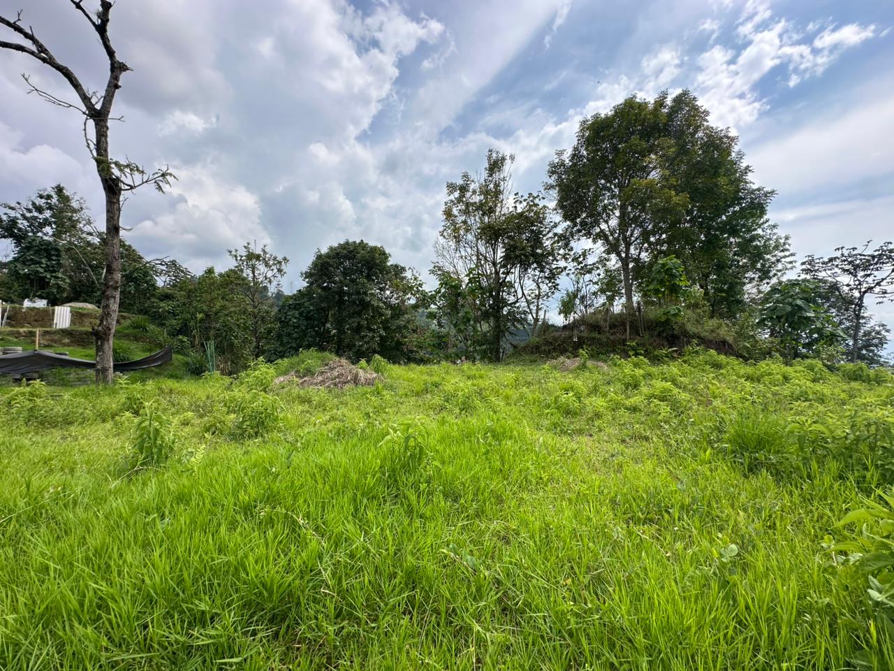 Foto de Lote / terreno en Venta en Arenillo, Manizales - 4 - 279067215