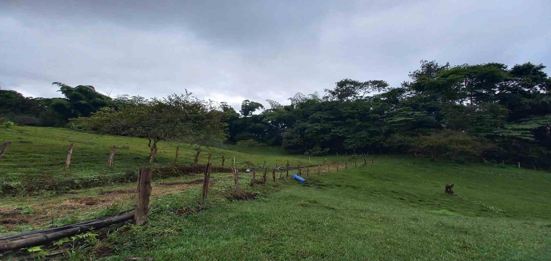 Foto de Lote / terreno en Venta en Veracruz, Santa rosa de cabal - 4 - 279066398
