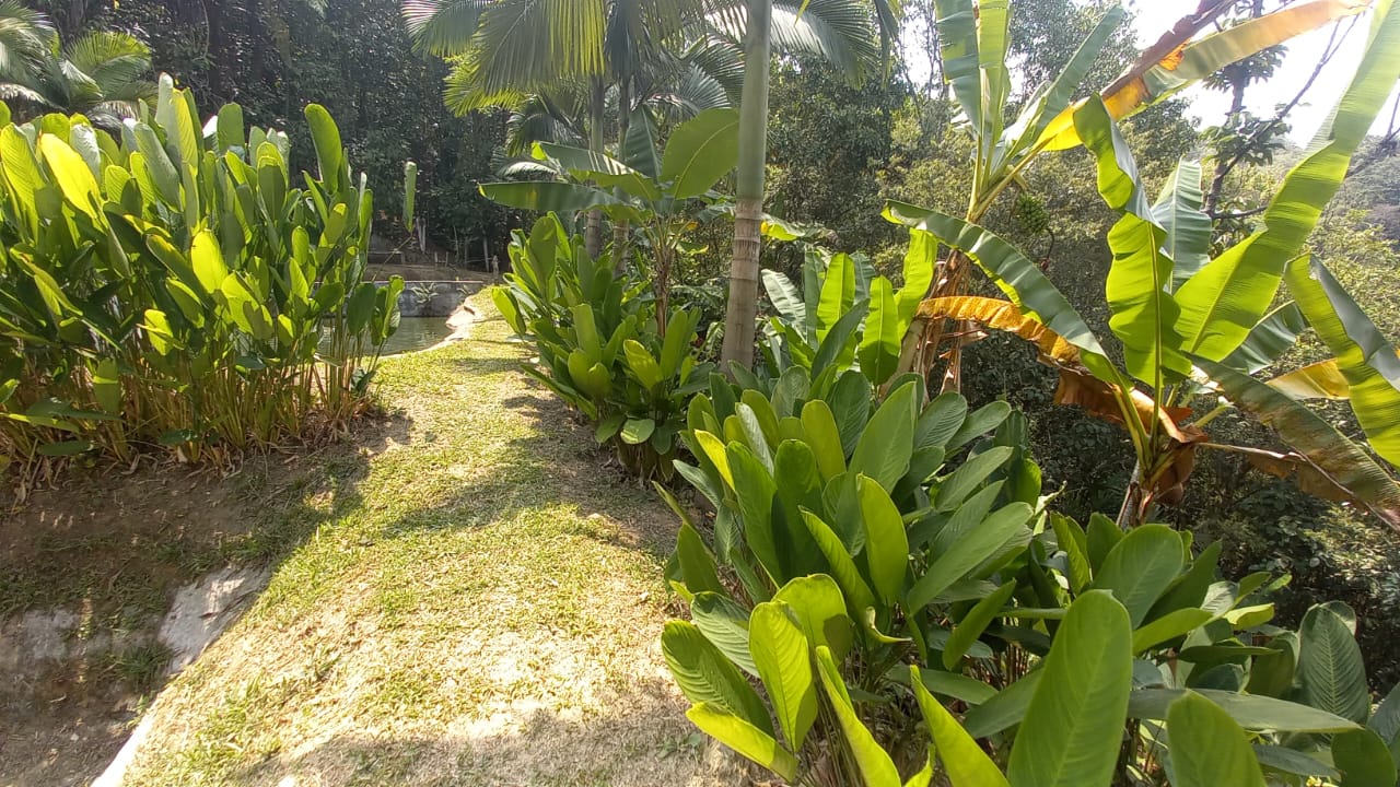 Foto de Lote / terreno en Venta en San peregrino, Manizales - 15 - 279056653