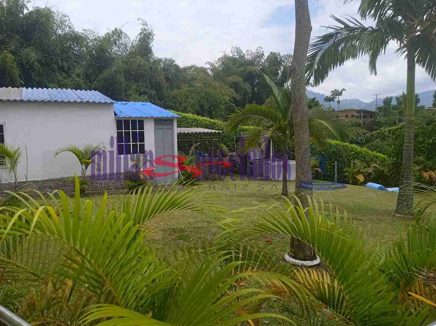 Foto de Finca en Venta en Combia, Pereira - 12 - 52058