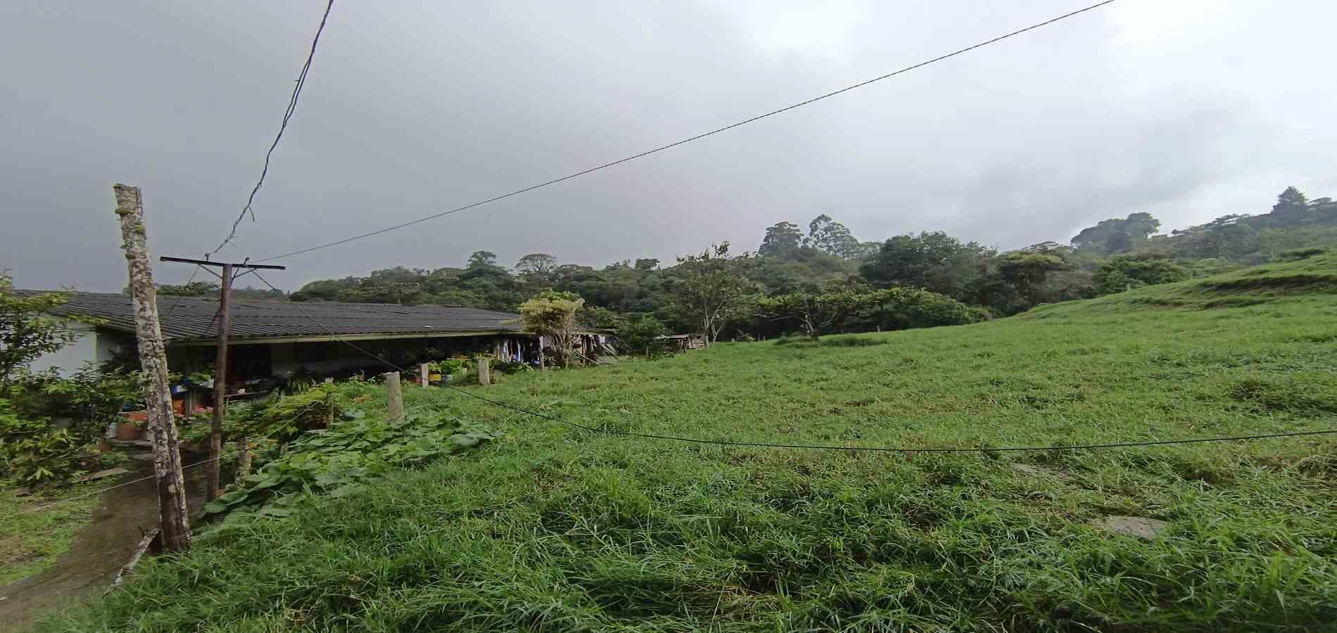 Foto de Finca en Venta en La francia, Manizales - 3 - 279066742