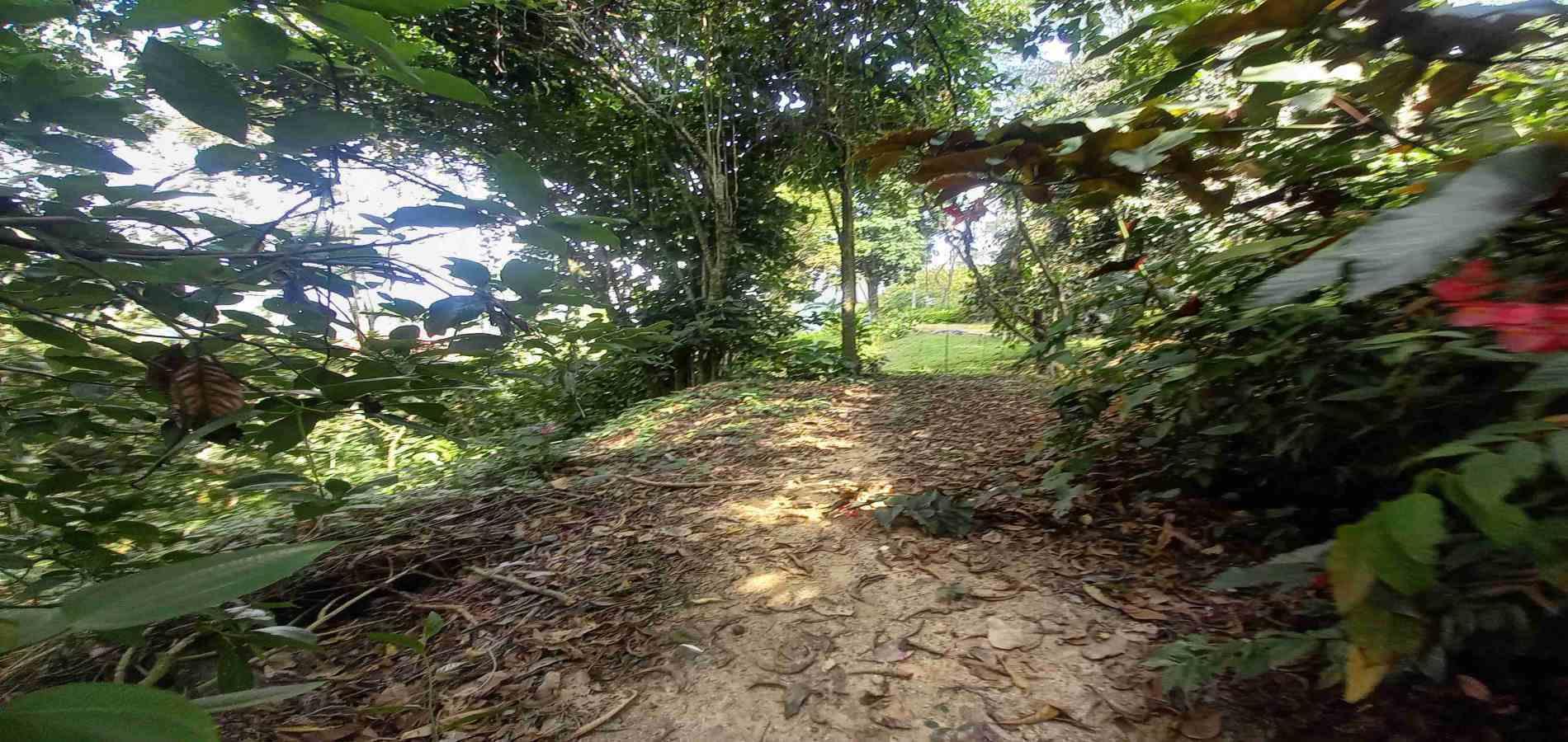 Foto de Lote / terreno en Venta en San peregrino, Manizales - 9 - 279056638