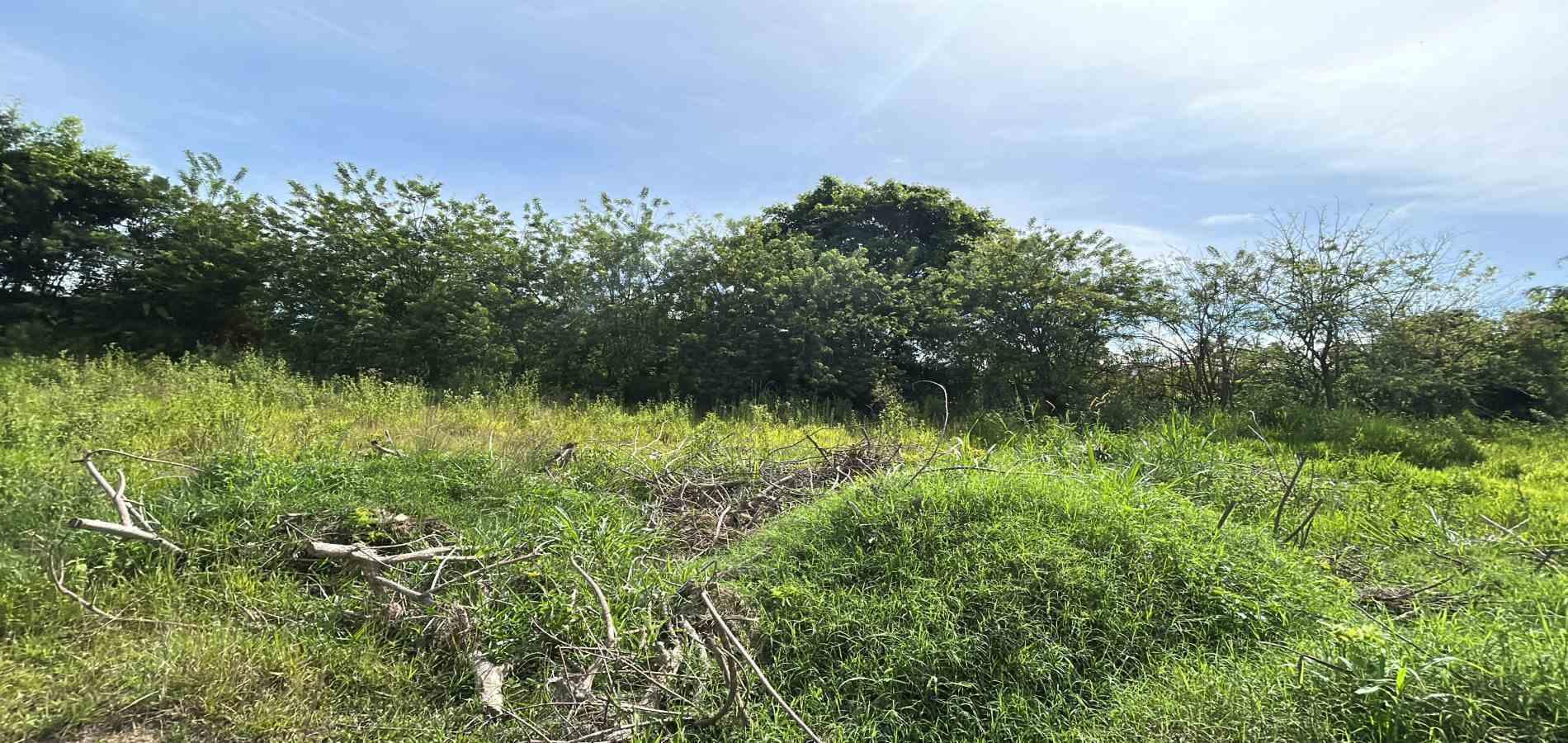 Foto de Lote / terreno en Venta en Cerritos, Pereira - 3 - 279068089
