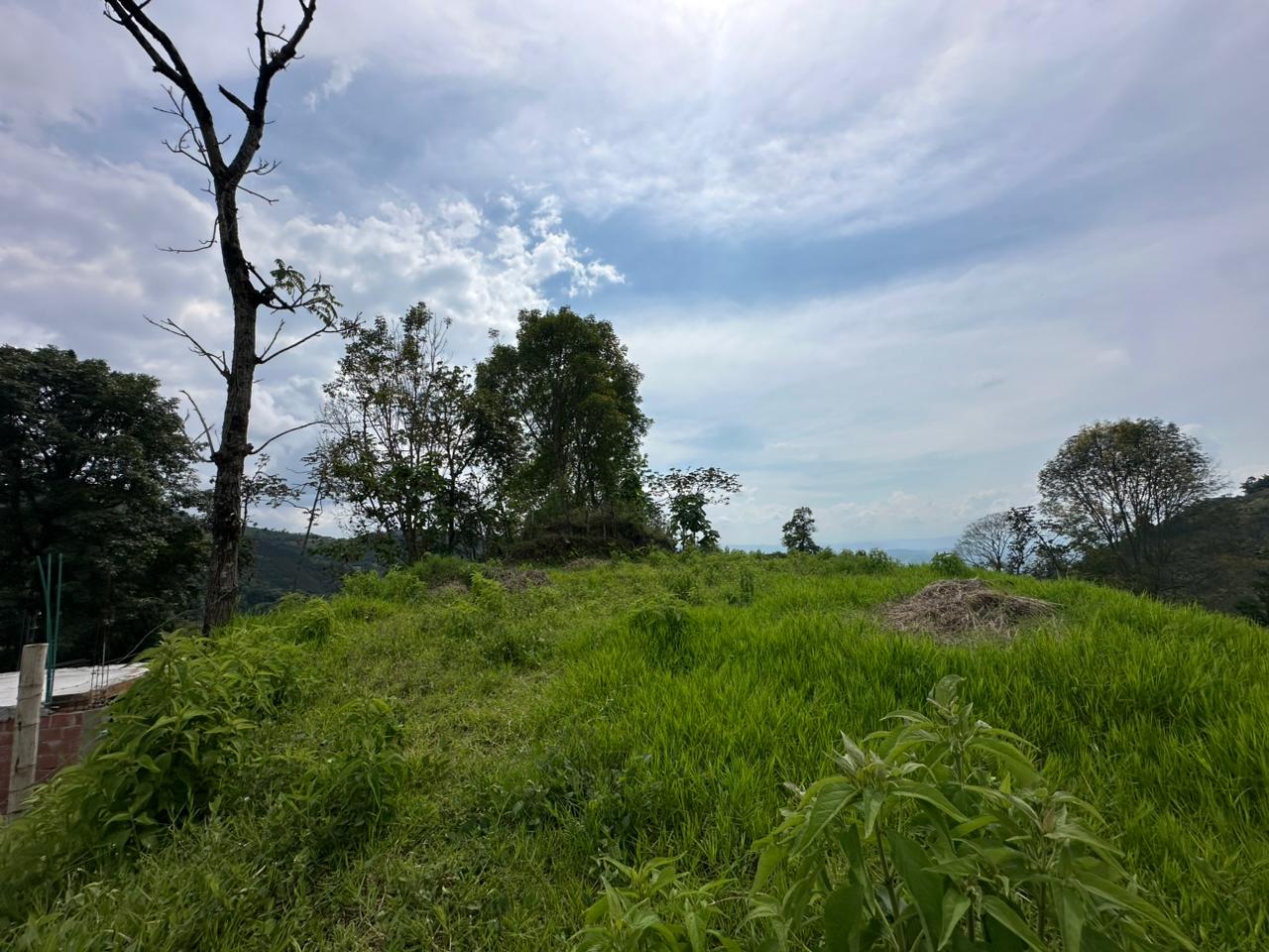 Foto de Lote / terreno en Venta en Arenillo, Manizales - 2 - 279067215