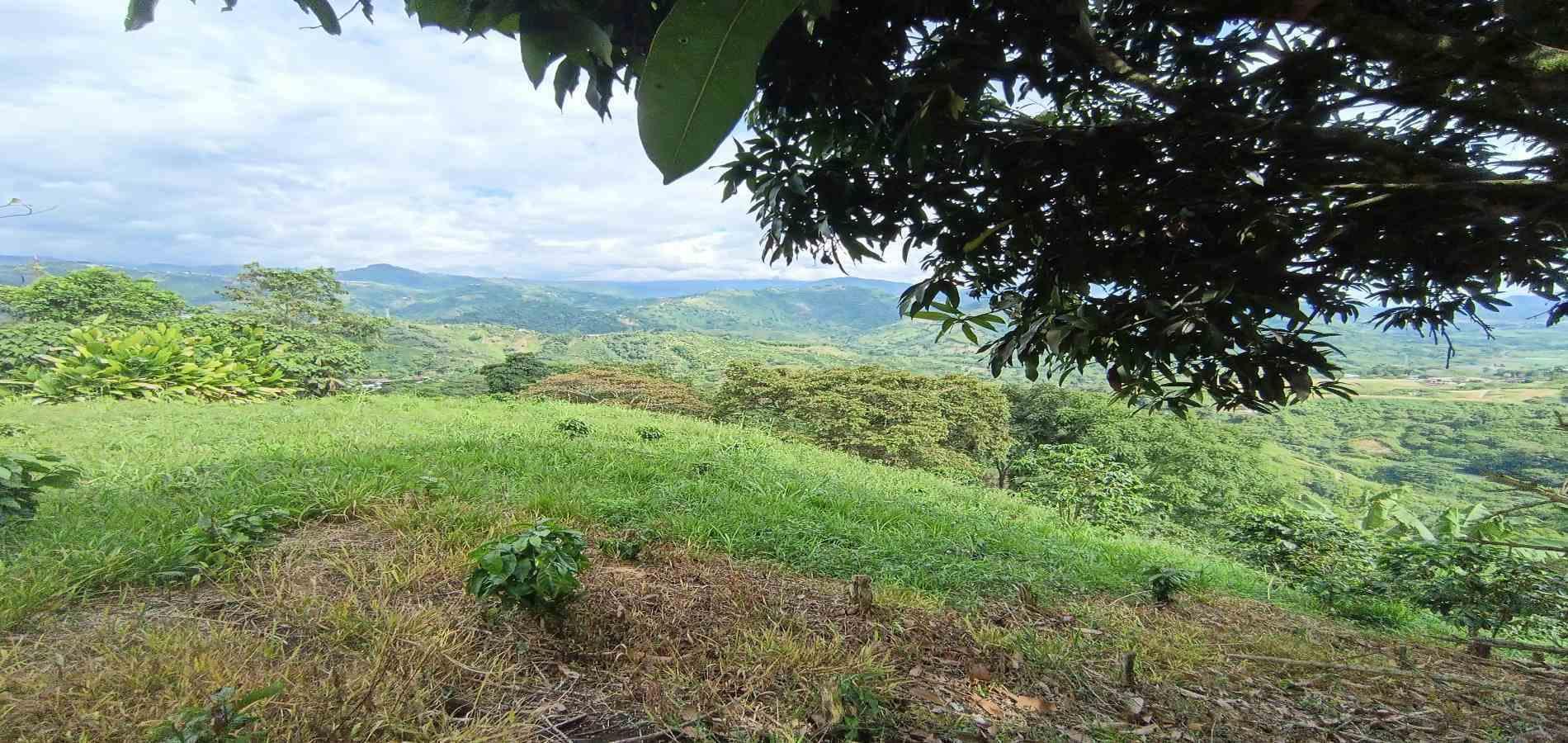 Foto de Lote / terreno en Venta en San peregrino, Manizales - 11 - 279068552