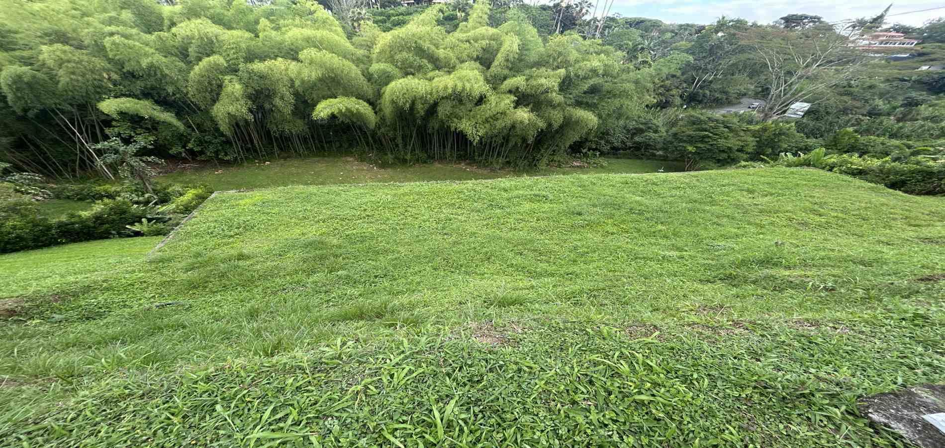 Foto de Lote / terreno para Venta en Pueblito cafetero, Pereira - 279068769