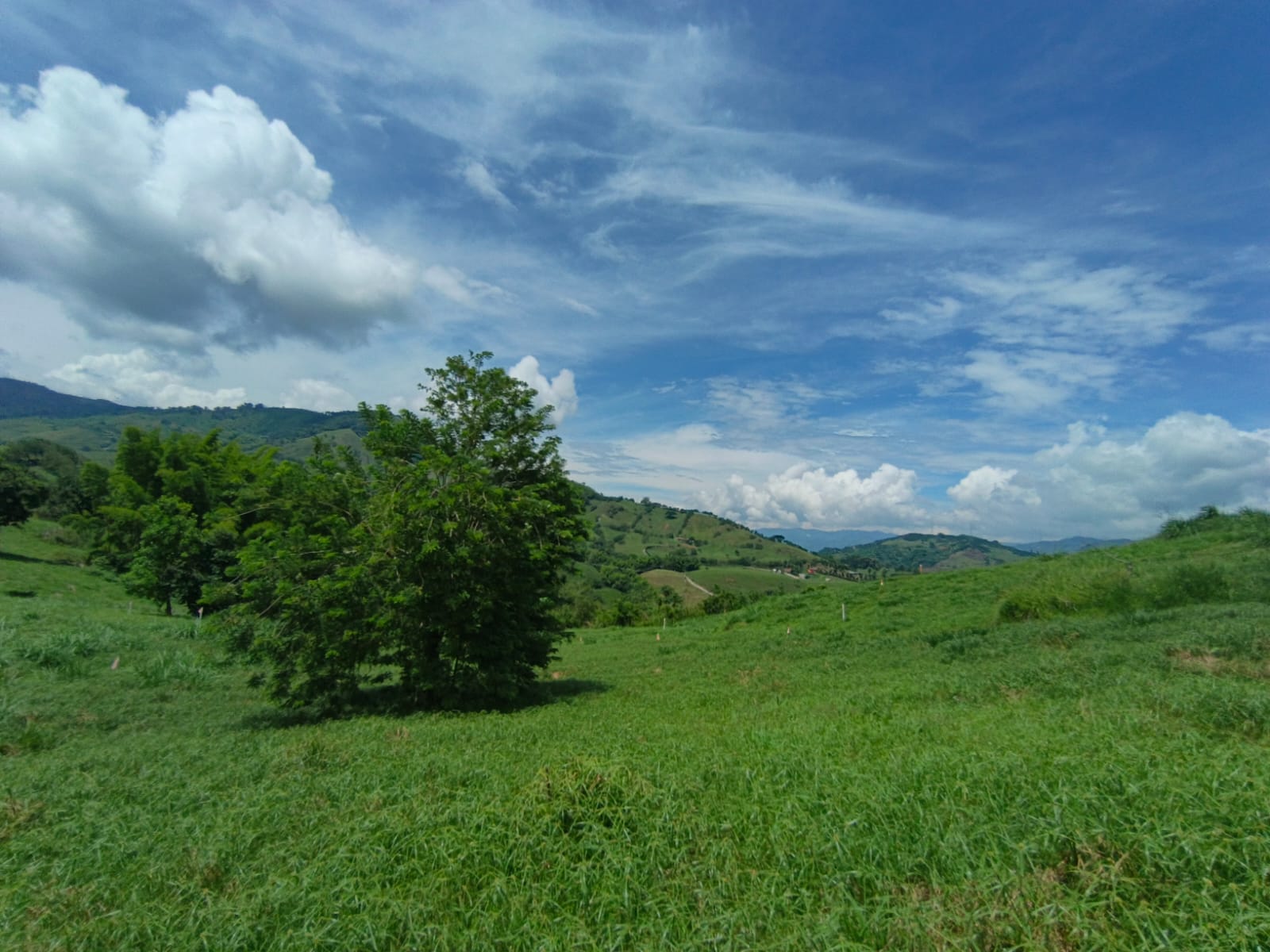 Foto de Lote / terreno en Venta en Vereda santagueda, Palestina - 4 - 279064627