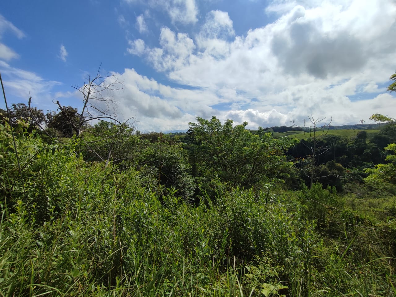 Foto de Lote / terreno en Venta en Cerritos, Pereira - 9 - 279063220