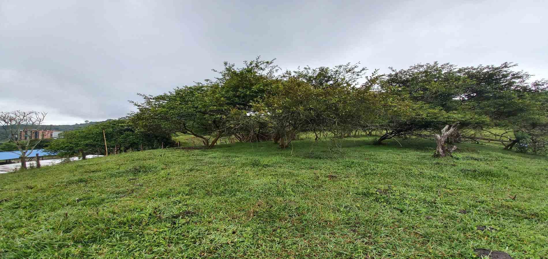 Foto de Lote / terreno en Venta en Veracruz, Santa rosa de cabal - 20 - 279066398